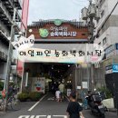 송화벽화시장 | [강서 시장] 아임파인 송화벽화시장 후기 (음식 맛집 주차)