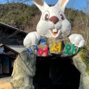 장백산칼국수 이미지