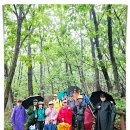 도봉역 - 도봉산역(2026.05.20)함께한님들촬영 이미지