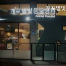 별빛동물병원 네이버블로그