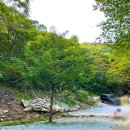 밤소리관광농원 이미지