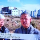 정성찐빵 이미지