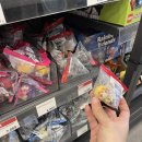 뽀꼬가냥 이미지