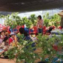 새이룸어린이집 이미지