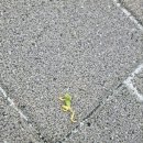 고금체육관 이미지