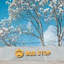 신원사 버스정류장 이미지