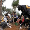 소나무푸드 이미지