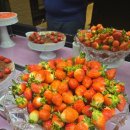 애슐리퀸즈뉴코아평택점 | 애슐리퀸즈 딸기 평택 애슐리퀸즈 뉴코아 평택점