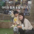 승연전자 | 인천 실내 아이와함께 즐기는 쥬벅스 실내동물원