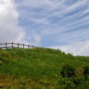 무주화원 이미지