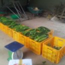 김정기농장 이미지