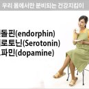 365자연안에건강
