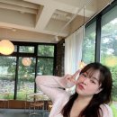 놀커피(Knoll coffee)