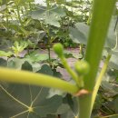 재수농장 이미지