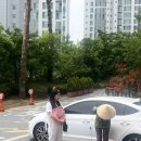 영월여행 영월숙소 내마음의외갓집 [영월서부시장/세심다원/선돌/사진정원/진미본가]