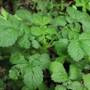 선학초등학교 이미지