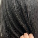 조대복사 이미지