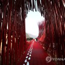 술샘박물관(젊은달 와이파크) 이미지