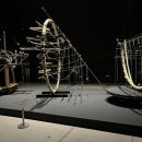 제인이화 이미지