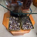 안씨하우스(AnC House) | [베트남] 달랏 관광객 없는 크레이지 하우스 숙박후기 : Crazy house vs Crazy home 차이