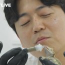 진솔2농장 이미지