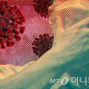 서울청운초등학교 이미지