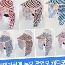 성광 이미지