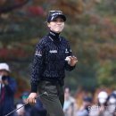 고투어 이미지