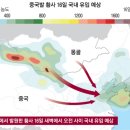 1㎞ 앞도 안 보인 ‘누런 베이징’…최악 황사 올해 8번 더 올 수도(서울신문) / [빛viit명상] 항염차抗炎茶, 비채담 이미지