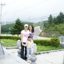 진호목장 이미지