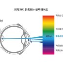 이안경 아이페이스 이미지