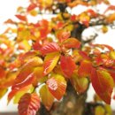 소사중학교 이미지