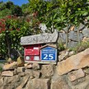 아인민박 이미지