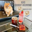 인천 부평구청역 청리단길 실내 애견동반 디저트 카페 “코지(COZY COFFEE)”