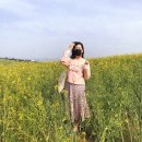 봄·여름·가을 코스 이미지