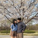 아들내미 분식 이미지