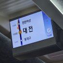 밍그루밍 | [예순네 번째 기록] 여기저기 라잌 길동 빙의된 2월 : 대텅장의 시대