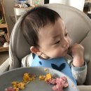 동유중기 이미지