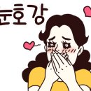 롱롱마카롱