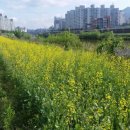 도봉구 자연 서울뉴스통신
