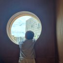 서산인삼족발(석림점) | 서산)1984그수육집칼국수 석림점 내돈내산 솔직후기