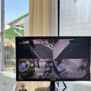 메모르드몽 이미지