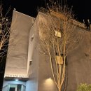 웨일짐 | 플로팅웨일 가평 젠스파 하우스 201호 후기