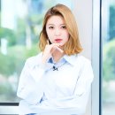 다미 이미지