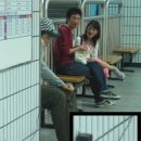 5958 Daum카페