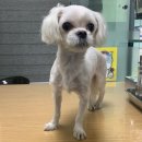 삼작로 이미지