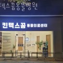 킨텍스꿈동물병원 네이버블로그