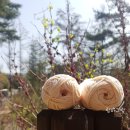 마실(MASIL) 이미지