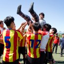 벌교생태공원 운동장 이미지