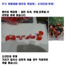 오리안경 이미지